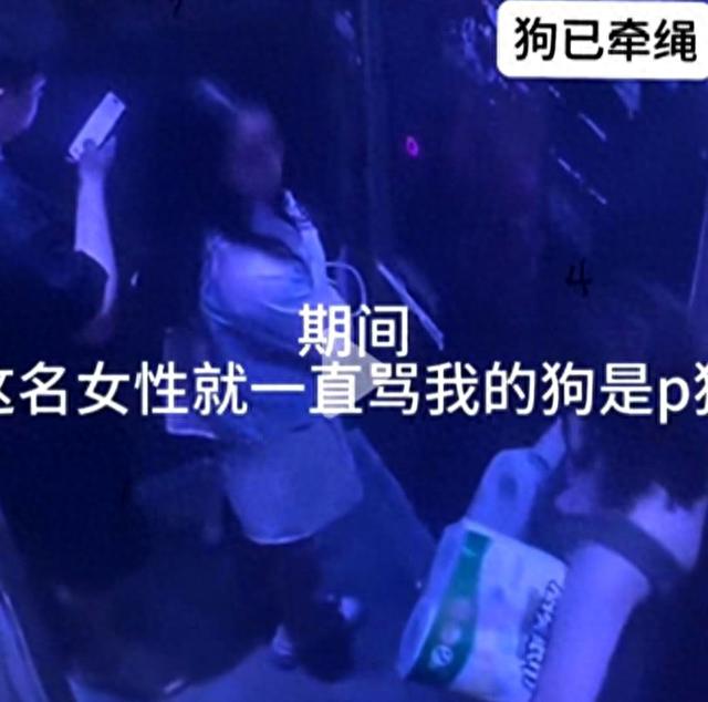 闹大了！女子因狗被扯衣露胸部后续：无法忍受侮辱，吞安眠药自杀