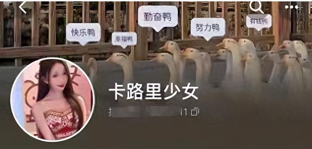 广东女网红深夜直播不雅视频不堪入目，抓捕刑拘现场曝光