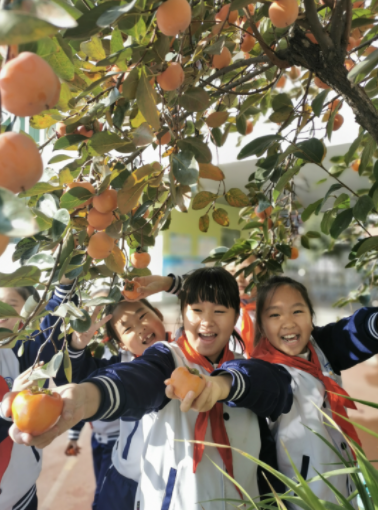 济南市师范路小学：聚焦课程建设，成就阳光慧美少年