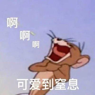 优酷真的好努力，三家房子塌了都是它拍的