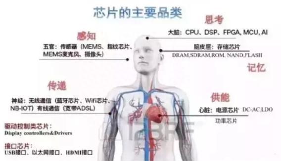 继茅台后，科技股细分领域之芯片板块的九大龙头股，未来有望成为下一只10倍、100倍大牛股