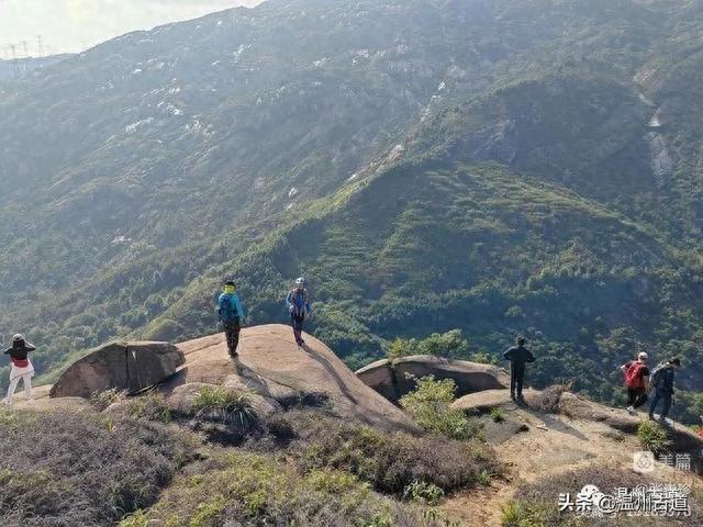 太神奇了！大罗山居然有“海狮表演”，你可曾见过？