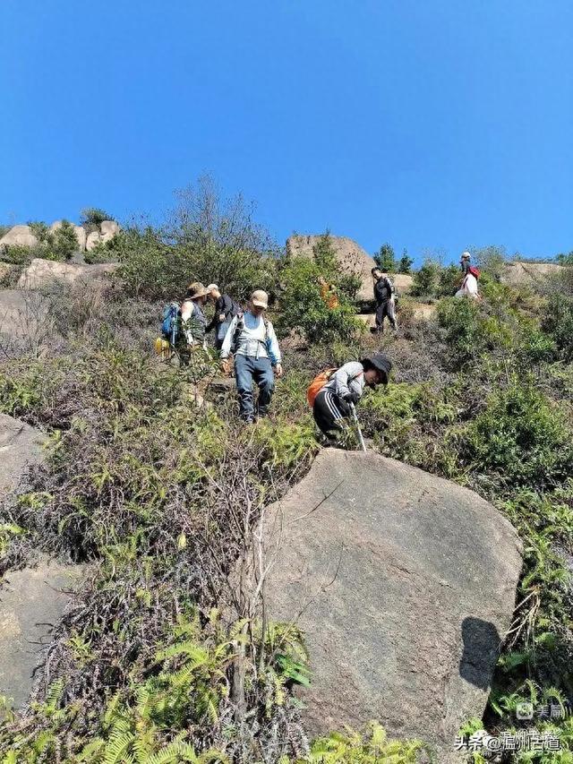 太神奇了！大罗山居然有“海狮表演”，你可曾见过？