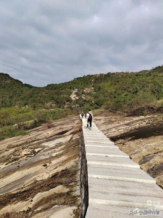 太神奇了！大罗山居然有“海狮表演”，你可曾见过？