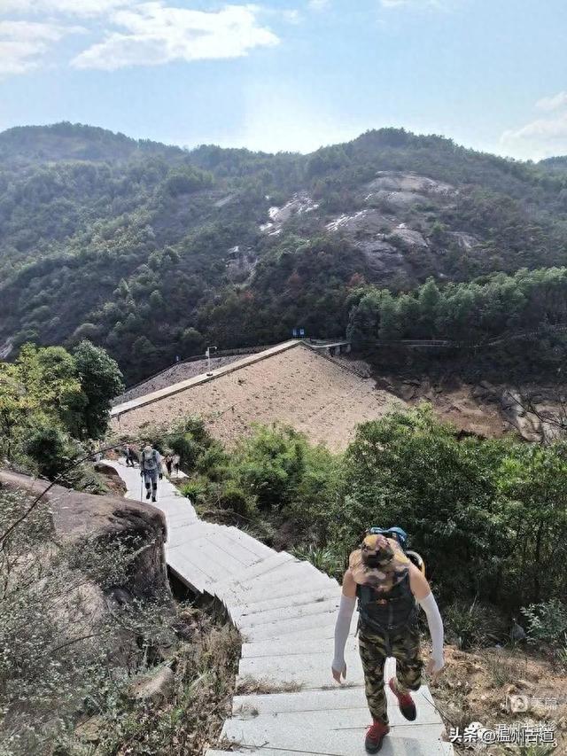 太神奇了！大罗山居然有“海狮表演”，你可曾见过？