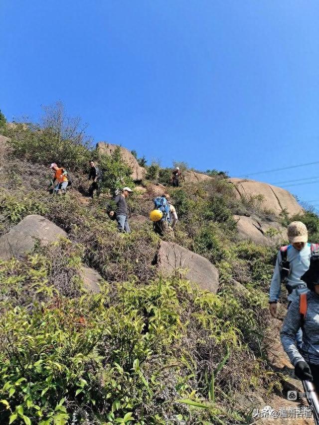 太神奇了！大罗山居然有“海狮表演”，你可曾见过？