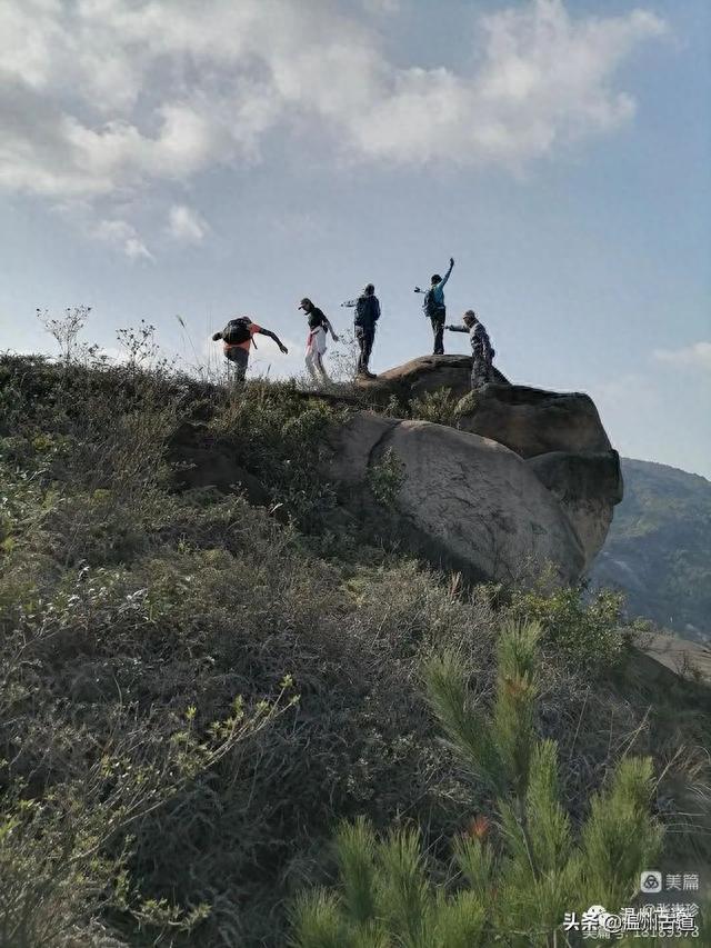 太神奇了！大罗山居然有“海狮表演”，你可曾见过？