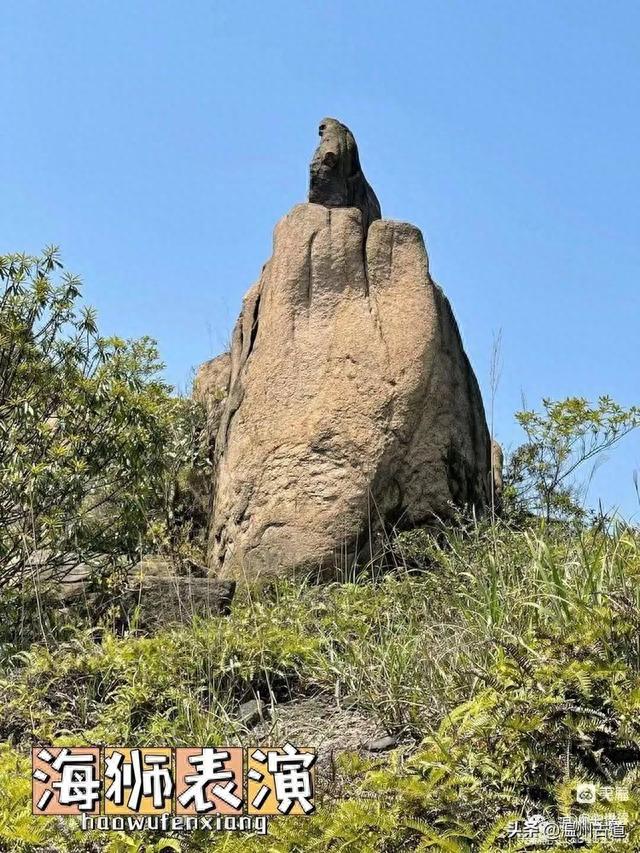 太神奇了！大罗山居然有“海狮表演”，你可曾见过？