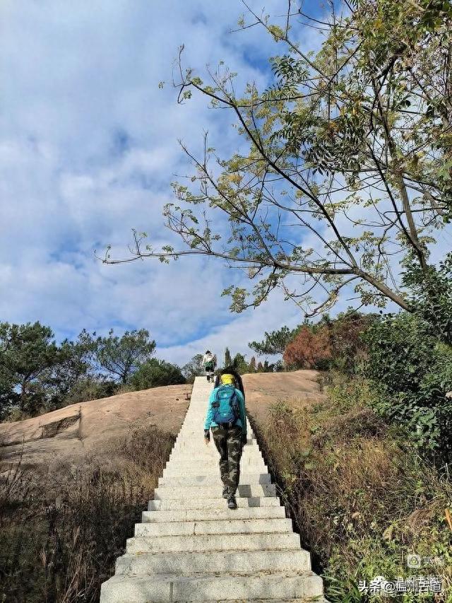 太神奇了！大罗山居然有“海狮表演”，你可曾见过？