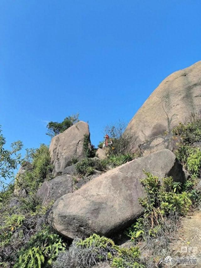 太神奇了！大罗山居然有“海狮表演”，你可曾见过？