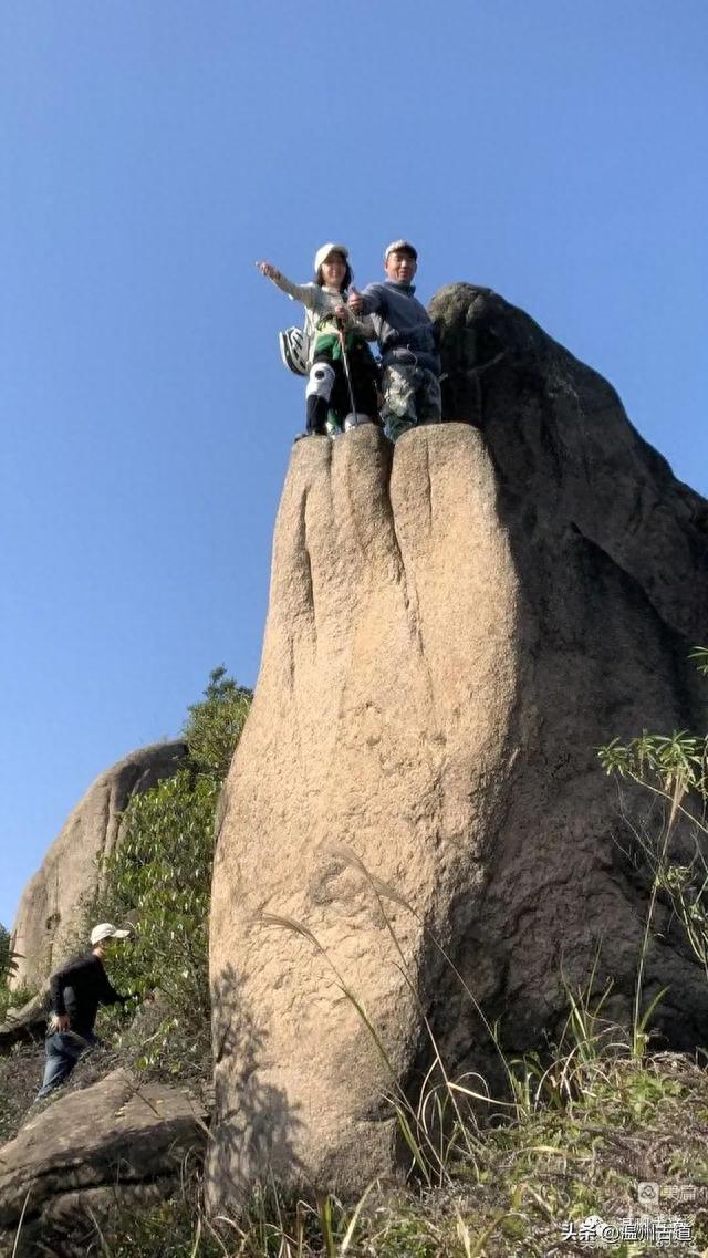 太神奇了！大罗山居然有“海狮表演”，你可曾见过？