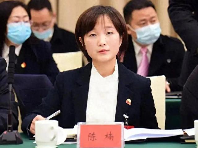 她被誉为最美镇长，32岁成“副市长”，她还是医学博士…