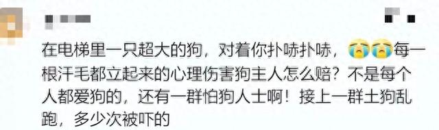 闹大了！牵狗女孩不满被扒衣侮辱定性为互殴，留下遗书吞药自杀！