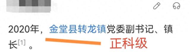 她被誉为最美镇长，32岁成“副市长”，她还是医学博士…