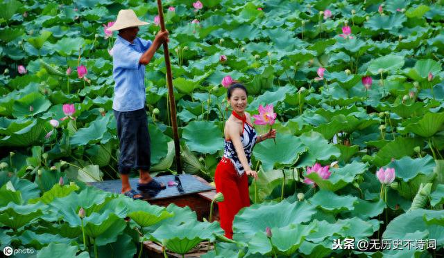 那个勤劳美丽的采莲女，可能欺骗了人们千年