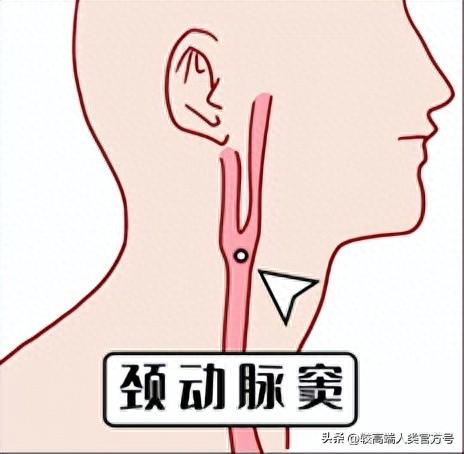 情侣亲热时，一定要避开哪几个部位？