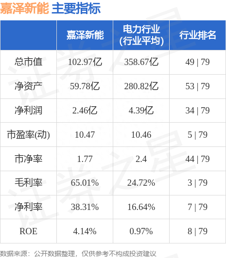 嘉泽新能（601619）6月12日主力资金净卖出1613.61万元