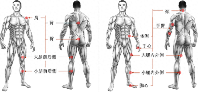 实用贴丨确保新兵练得好，这套“独特”的按摩手法不可少