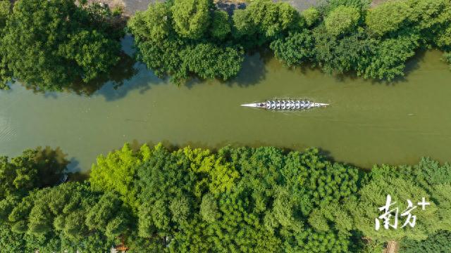 龙舟上，她们乘风破浪｜视界