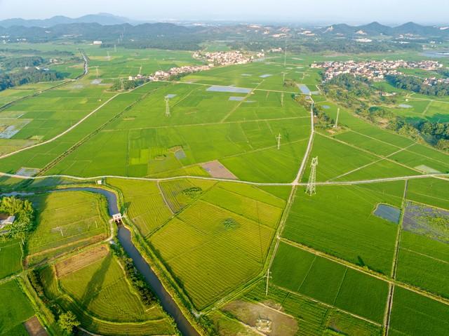 中国各省的耕地红线——职场农民必知的生存与发展指南！