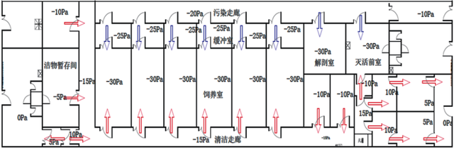 动物房怎么设计和建设