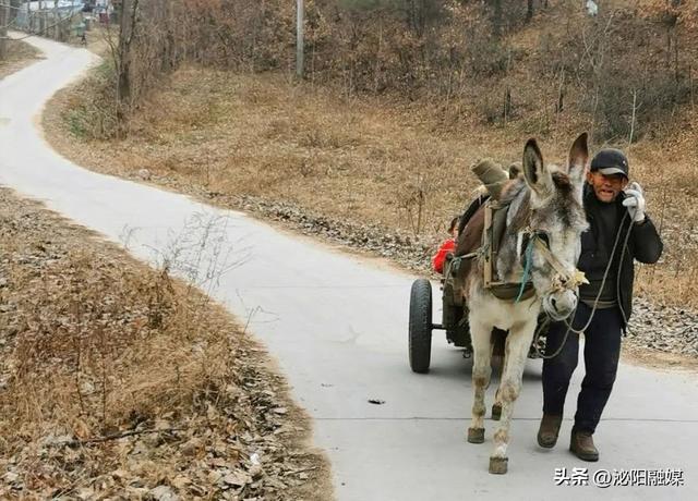 泌阳盘古山区风景线：吴运忠和他的毛驴车