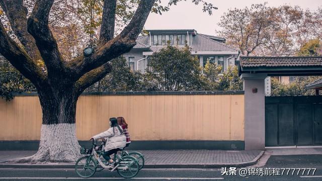 江苏省10大网红打卡点