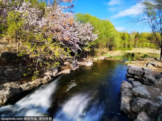 京城这些森林公园风景正好，让心灵小憩~