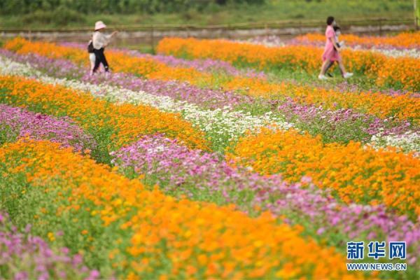 春暖花开