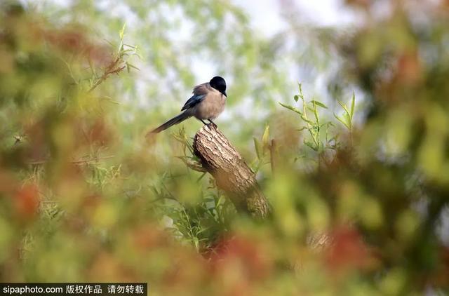 京城这些森林公园风景正好，让心灵小憩~