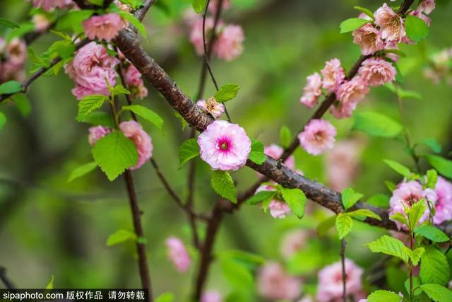 京城这些森林公园风景正好，让心灵小憩~