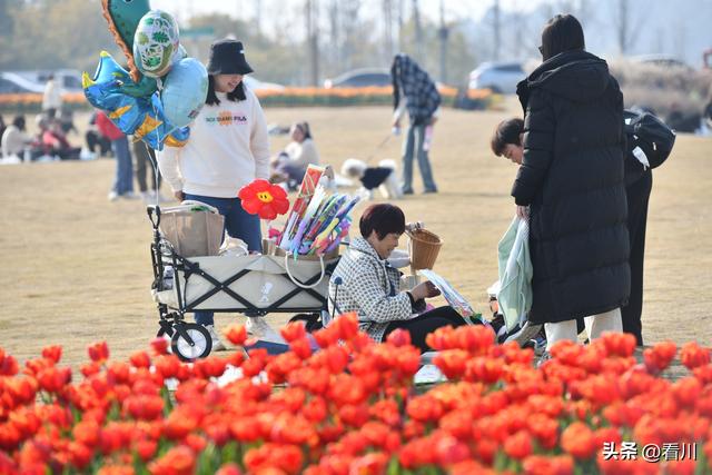 航拍正月里的成都兴隆湖，赏花人群、车流人山人海