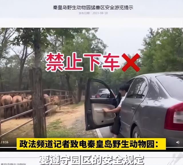 太可怕，动物园私自下车后续，后车吓出哭腔声音发颤，林业局介入