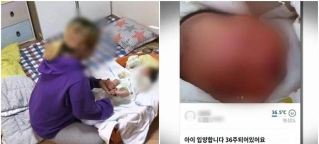 韩国网站正在降价出售婴儿、女性、残疾人！ 22万个儿童色情视频
