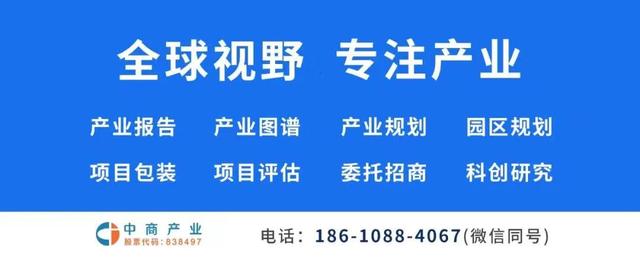 2022年中国跨国公司100强排行榜