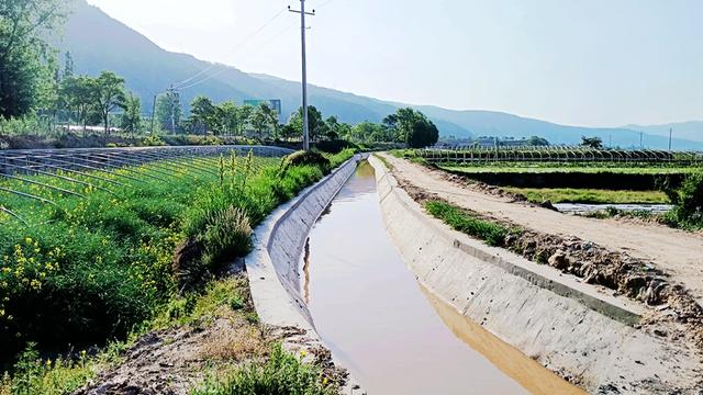 武山县藏粮于地建良田 夯实粮食安全根基