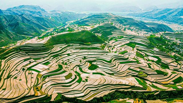 武山县藏粮于地建良田 夯实粮食安全根基