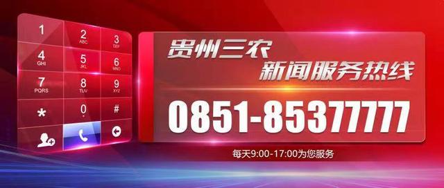 贵州丰收季·连“现”丰收丨六盘水：猕猴桃亩产4000多斤！这个家庭农场顶呱呱