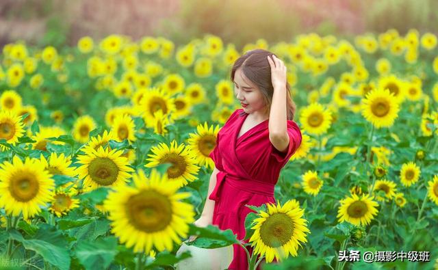 拍摄向日葵美女照片，避开5个忌讳，拍最美向日葵人像