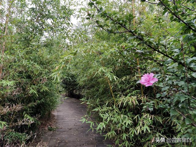 入陕西第一景：老潼关的潼关古城和女娲神像