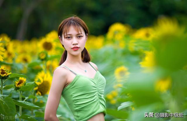 拍摄向日葵美女照片，避开5个忌讳，拍最美向日葵人像