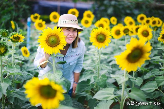 拍摄向日葵美女照片，避开5个忌讳，拍最美向日葵人像