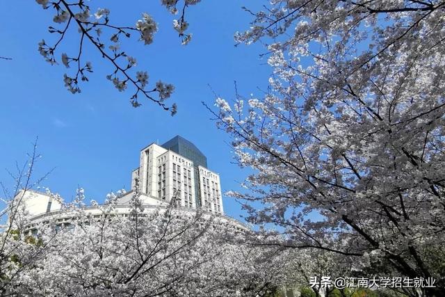 高清大图来袭！坐拥神仙颜值，江苏高校最美“校花”惊艳这个春天！