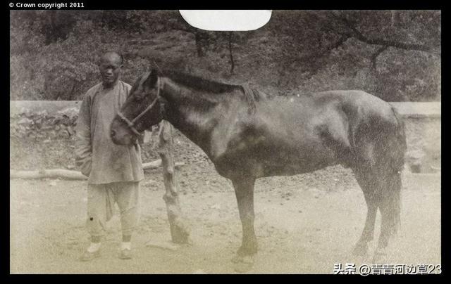 中外“站街女”对比：洋女人穿丝袜搔首弄姿，城中村女孩抽烟揽客