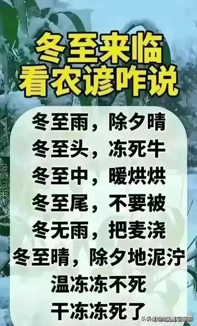 一姐感冒了去打屁股针，一文太精彩了，看完笑抽了，太精辟了