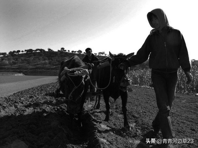 中外“站街女”对比：洋女人穿丝袜搔首弄姿，城中村女孩抽烟揽客