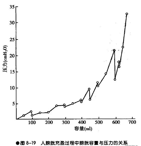 尿尿尿的到处都是？送你一份男生尿尿的最强攻略